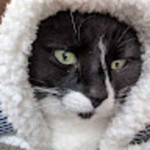 Meet your Posher, Jody